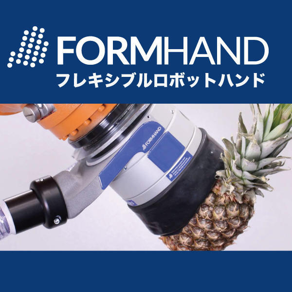 フォームハンド.jpg